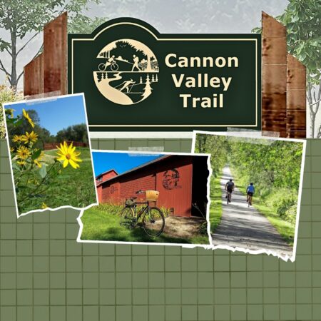 CVT collage